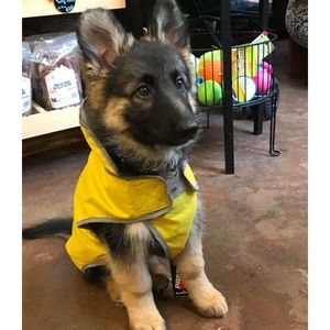 Meet your Posher, James